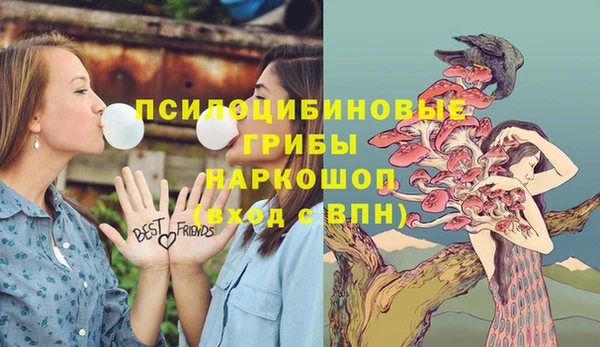прущие грибы Касимов