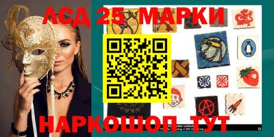 spice Абакан