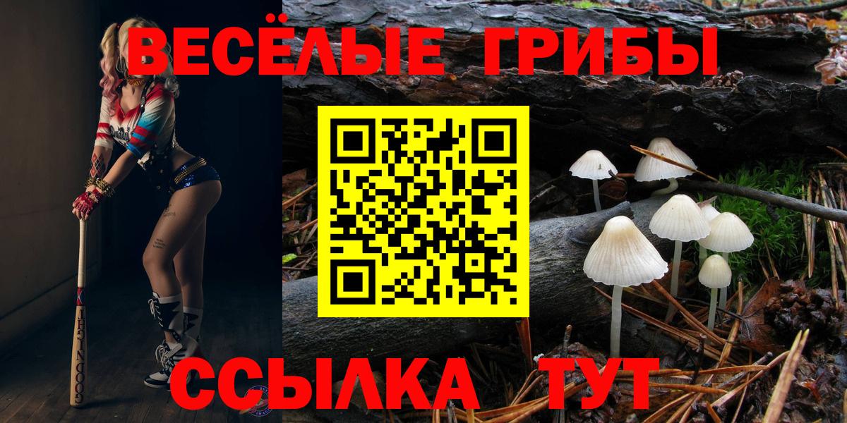 Галлюциногенные грибы MAGIC MUSHROOMS Рыбинск